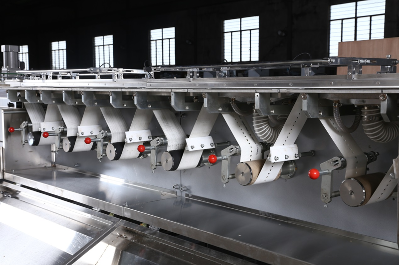Dishwasher Detergent Tablets Packaging Machine(JY-L1000)
