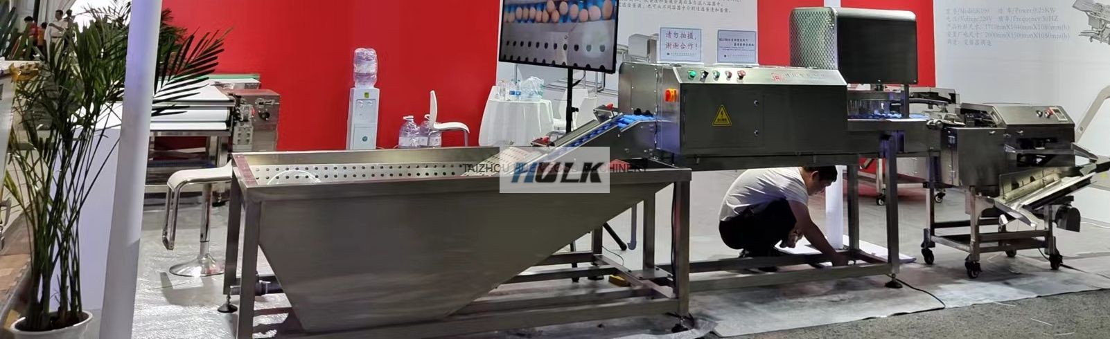 Automatic Egg White and Yolk Separator