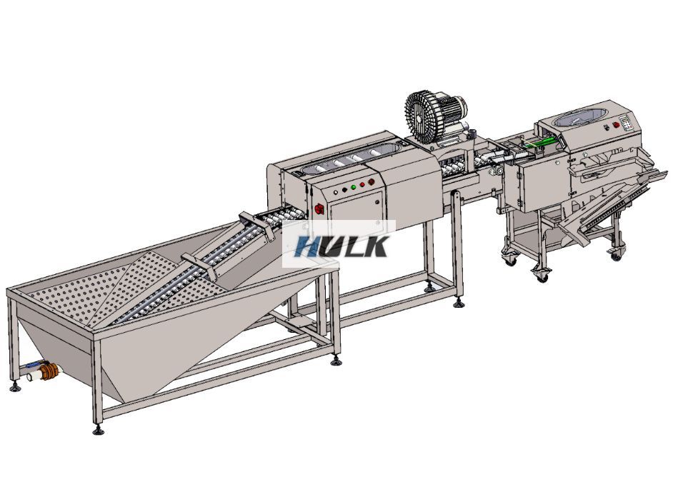 Automatic Egg White and Yolk Separator